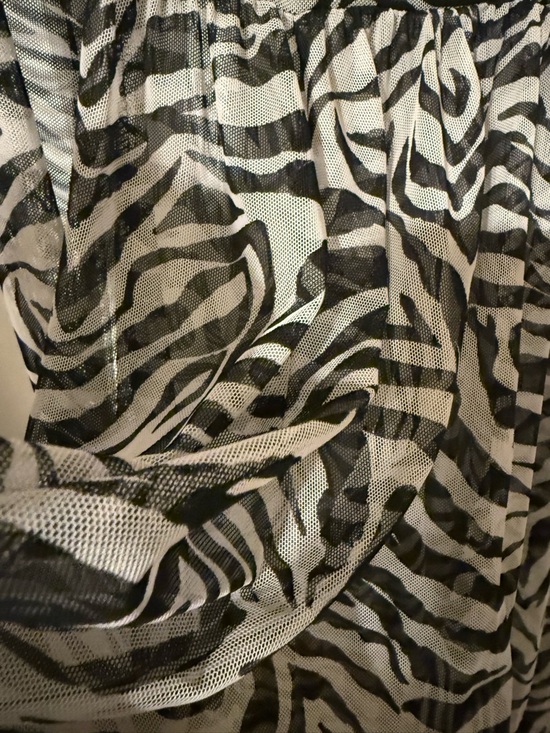 Dressed in Lala Black & White Zebra Print Mesh Maxi Dress - Picture 5 of 10